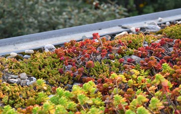 the cost of Chittlehamholt green roof installation