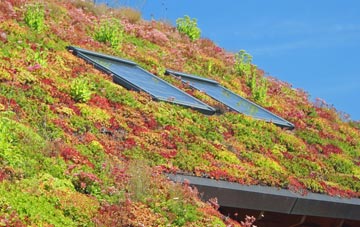 Chittlehamholt living roof systems